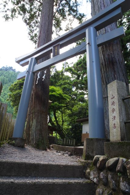 鳥居をくぐります。