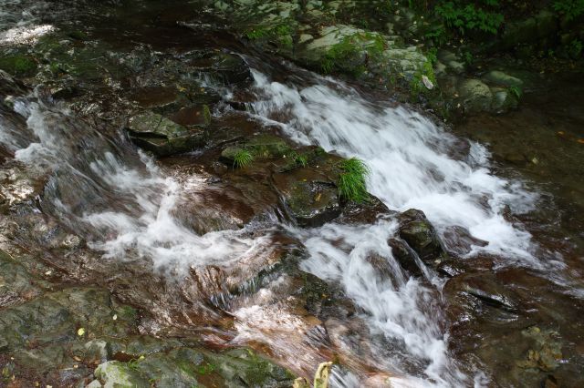 滝の先の川部分。