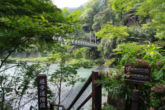 遊歩道からの楓橋。遊歩道は軍畑駅方面にも続きます。