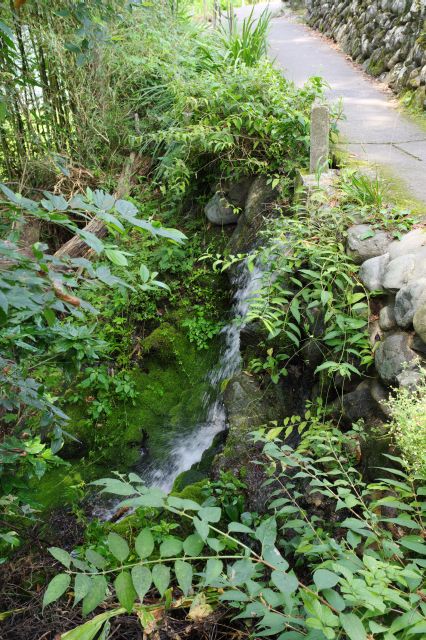 川に注ぐ水の流れも心地よい。