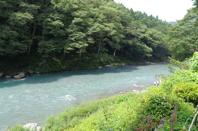 この辺りは穏やかな川の流れ。