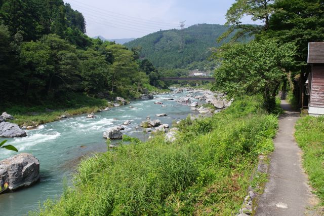 段々川に岩が増えてきました。