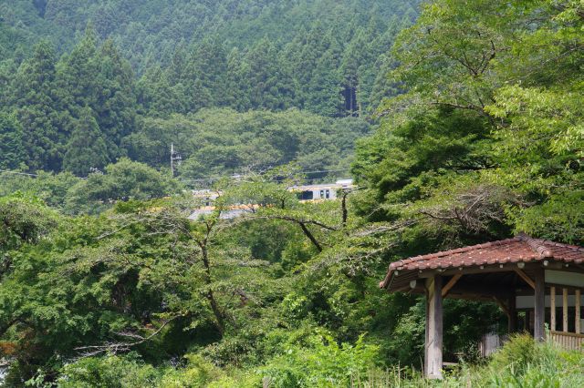 電車の音、青梅線が走っているのが見えました。