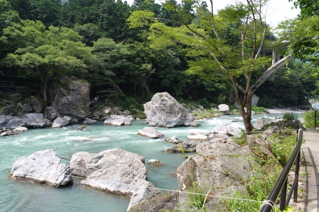 点在する大きな岩々。