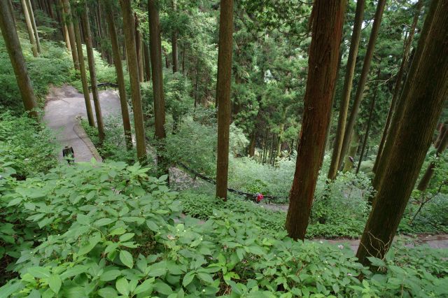 山の麓からの道が合流します。