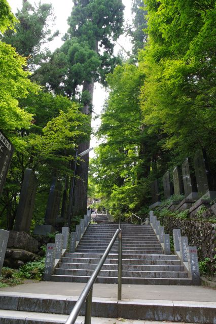 鳥居の先、高木に囲まれた階段を進みます。