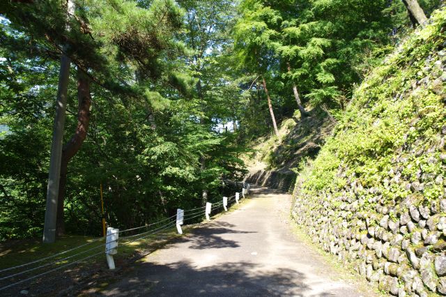 静かでセミの声が響く道を歩きます。時々周囲を走るバイクの音が響きます。