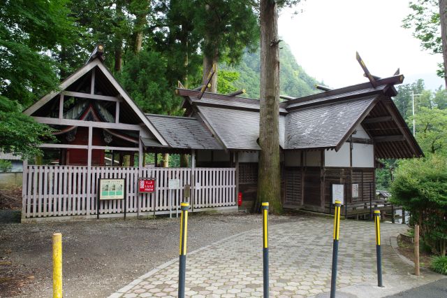 道路からの入口は神社裏手。本殿にも大きな杉の木が立ちます。