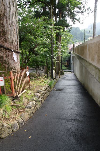 氷川大橋沿いの坂を下ります。