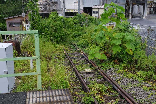 線路は草むらに突っ込んで行き止まり。