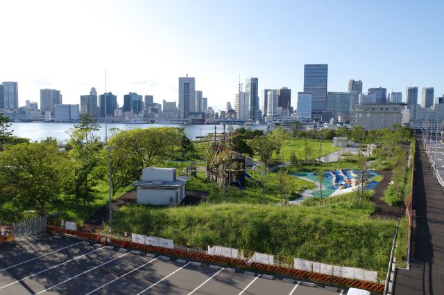 隣接する晴海埠頭公園は整備中。