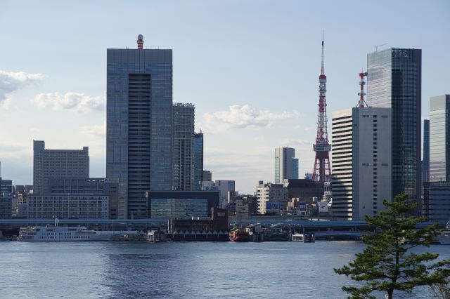 日の出桟橋の向こうに東京タワー。