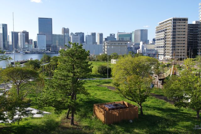 晴海埠頭公園。