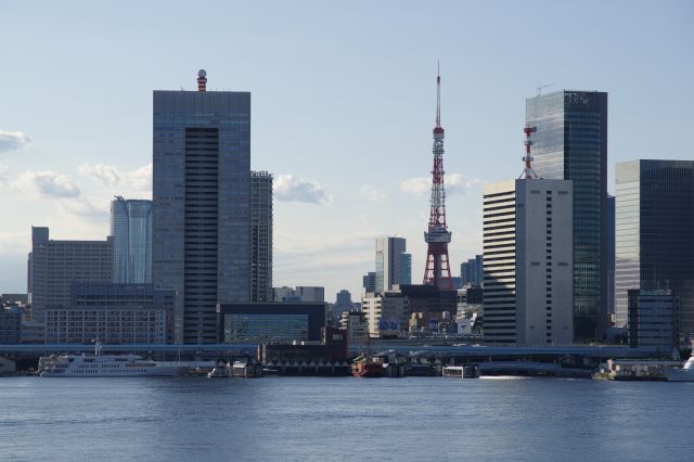 東京タワーはこちらの方が良く見えます。