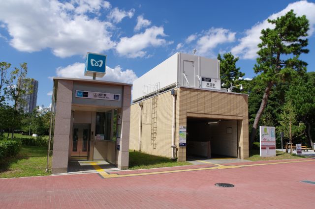 東京メトロ有楽町線辰巳駅東口を出ると辰巳の森緑道公園の西側に出ます。