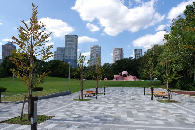 西側の公園内。奥には東雲のタワーマンション群。