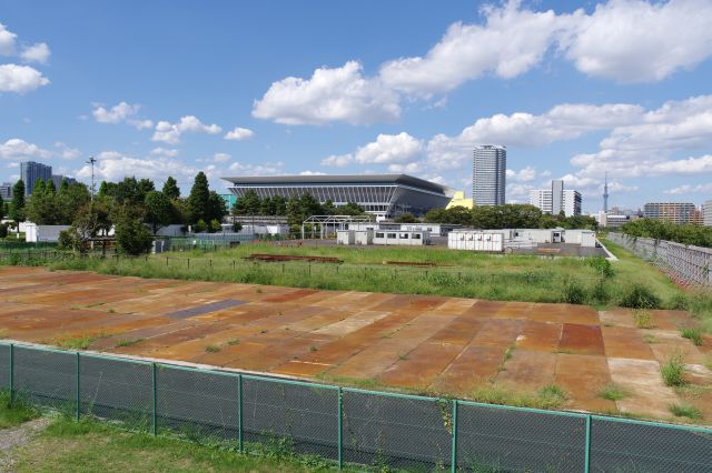 東京アクアティクスセンター方面。公園内の新しい巨大な施設です。