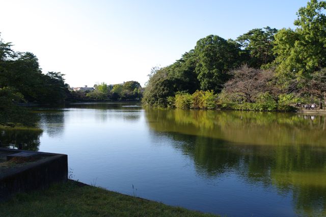 北に進みボート池（舟遊池）へ。静かで穏やかな雰囲気になります。