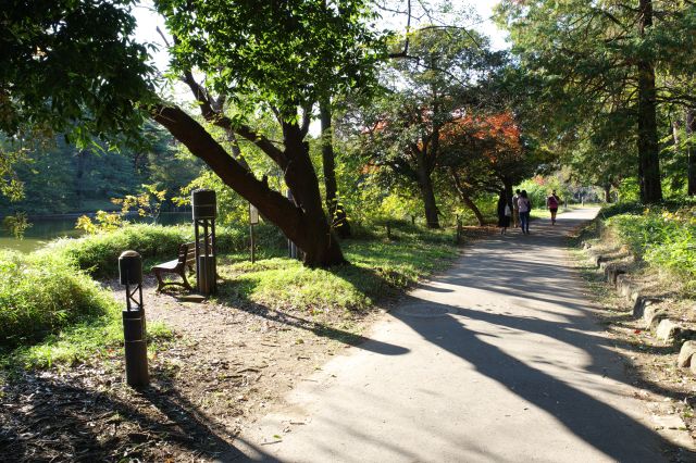 池の北側は西日が心地よい。走る人、散歩する人、ベンチで本を読む人も。