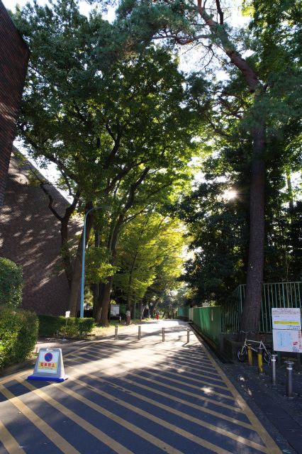 試合をしていた弓道場脇の道を進み出口から振り返る。