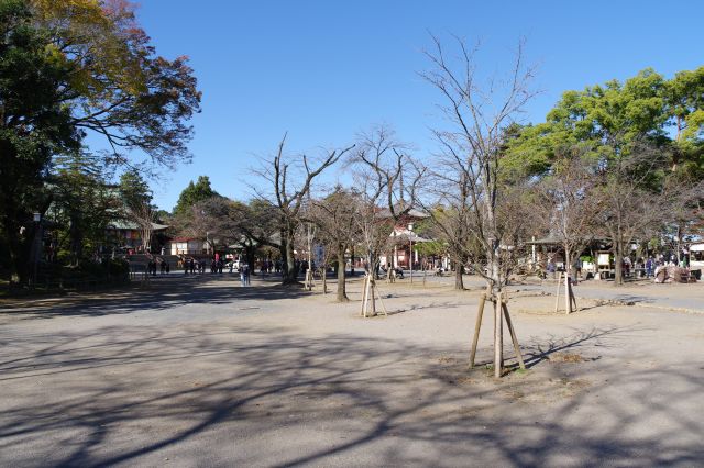 穏やかな雰囲気の広い境内。