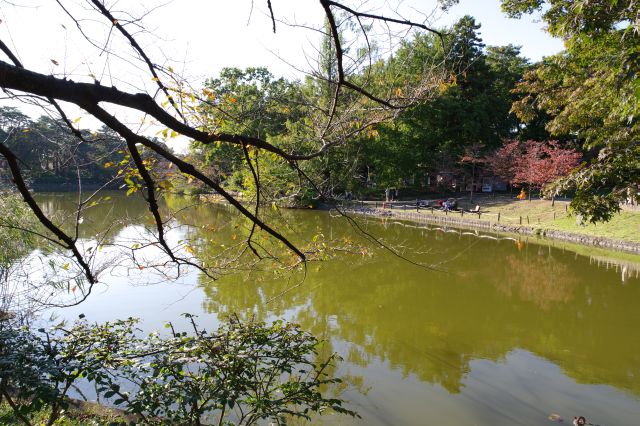 大宮公園の写真ページ