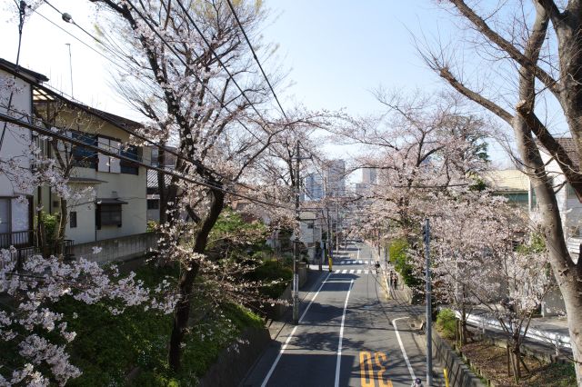 沼部駅方面。