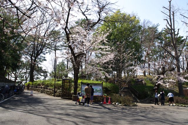 入って正面に桜の木があります。自然の香りがして鳥の声が響くの園内へ。