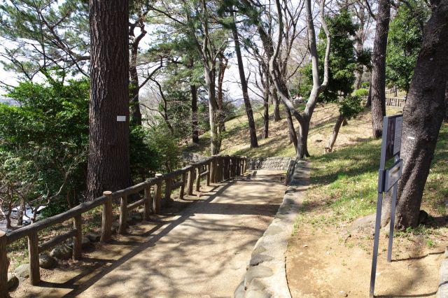 川沿いの細長い台地状の公園。川沿いの道に降りる道。