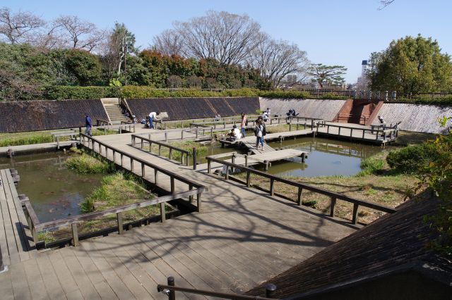 古墳の先の水生植物園。