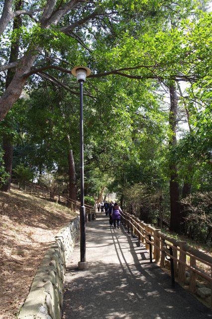 虹橋の先へ。自然豊かで心地よい川沿いの散策路を進みます。