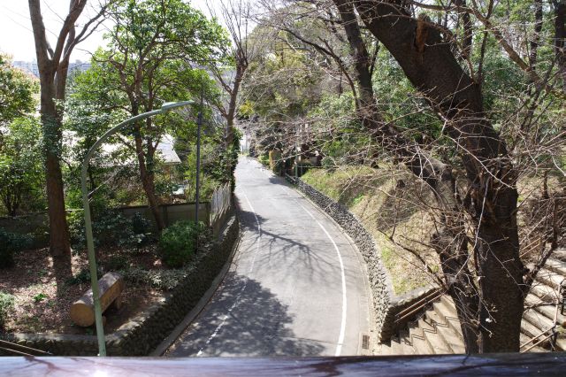 道路を渡る虹橋。