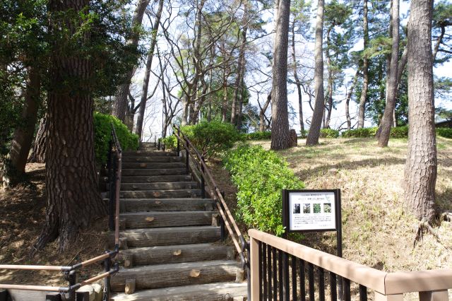 丘を登ります。