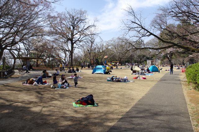 丘の上には自由広場があり、沢山の親子連れが憩います。