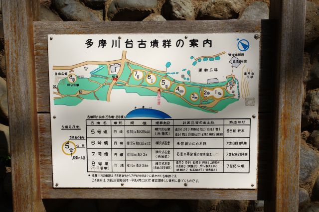 沢山の古墳が連なる公園です。