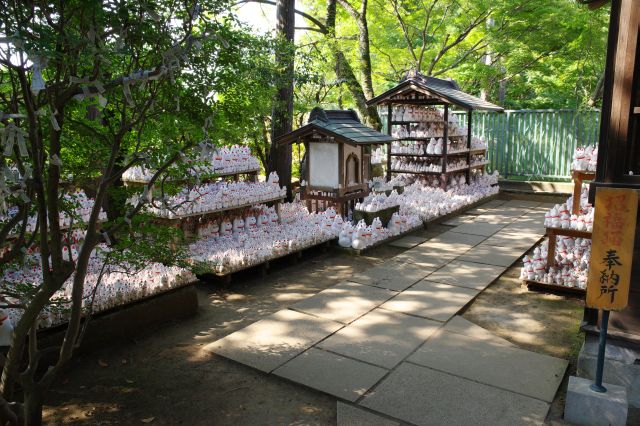 建物左脇には、沢山の招福猫児が奉納されています。