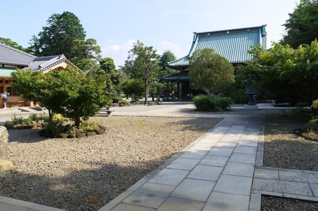 法堂前から仏殿を振り返る。大きくて立派なお寺です。