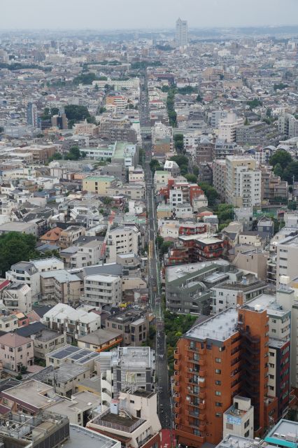 直線の弦巻通り。環七通りと交差する部分も印象的。