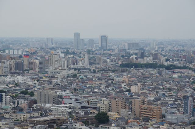 奥のビルは二子玉川ライズ。