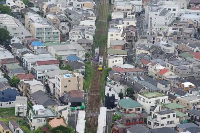 再び世田谷線へ。注目する印象的なポイントです。