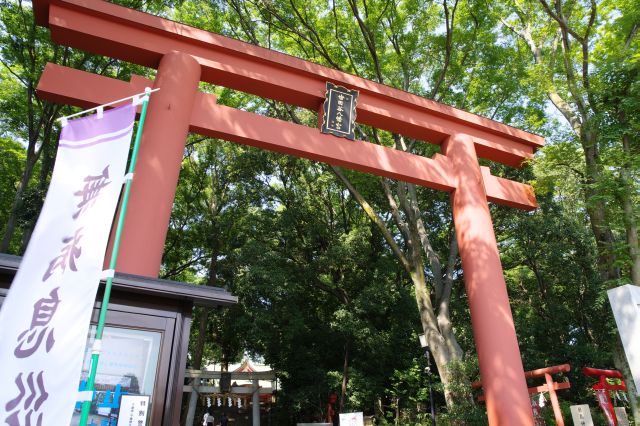 世田谷八幡宮の写真ページ