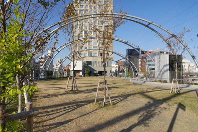 スタバの先は芝生ひろががあります。