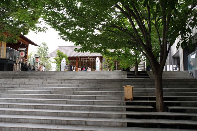 神社の新しい在り方を示しているように思えます。