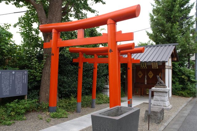 奥には八耳神社、出世稲荷神社、東照宮。