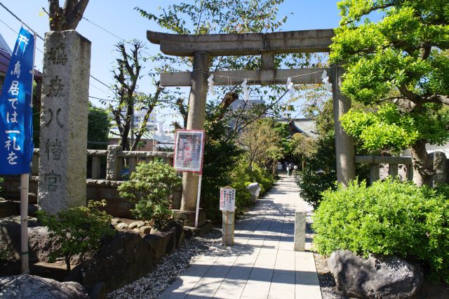 鳩森八幡神社の写真ページへ