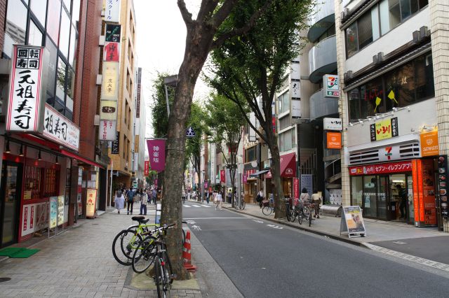 神楽坂通りへ戻りました。坂は緩やかになり、多彩なお店でにぎわい、セブンイレブンは景観配慮色。