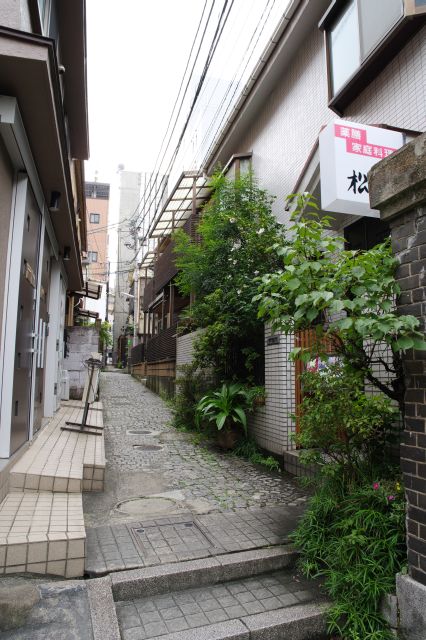 狭い路地に住宅や料理店が続きます。