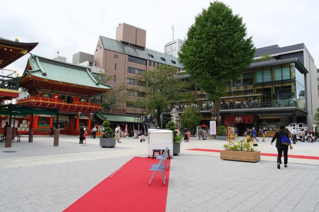 境内の様子。人が多く賑やかで、七五三や新郎新婦等、生活に根差した神社と感じます。