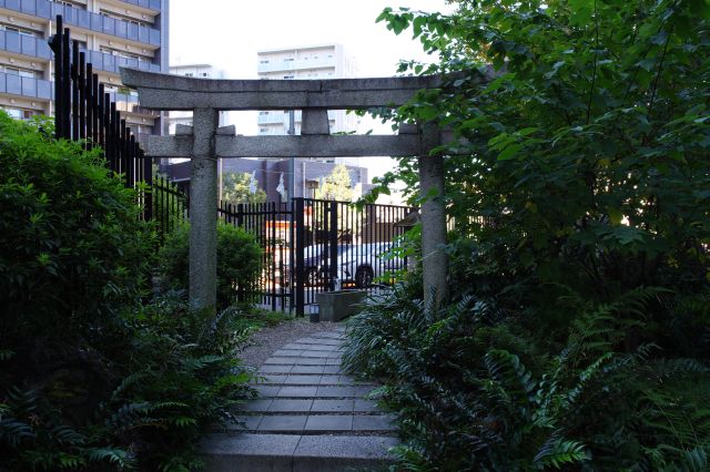 奥には浅間神社の鳥居。