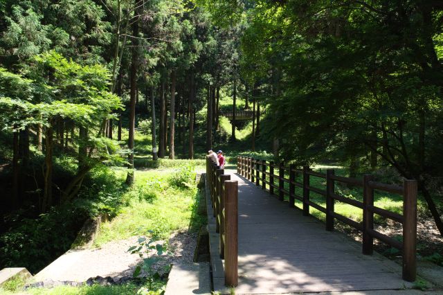 城山川の橋を渡り、大手門跡へ。付近で鳥を撮影している人が多数いました。